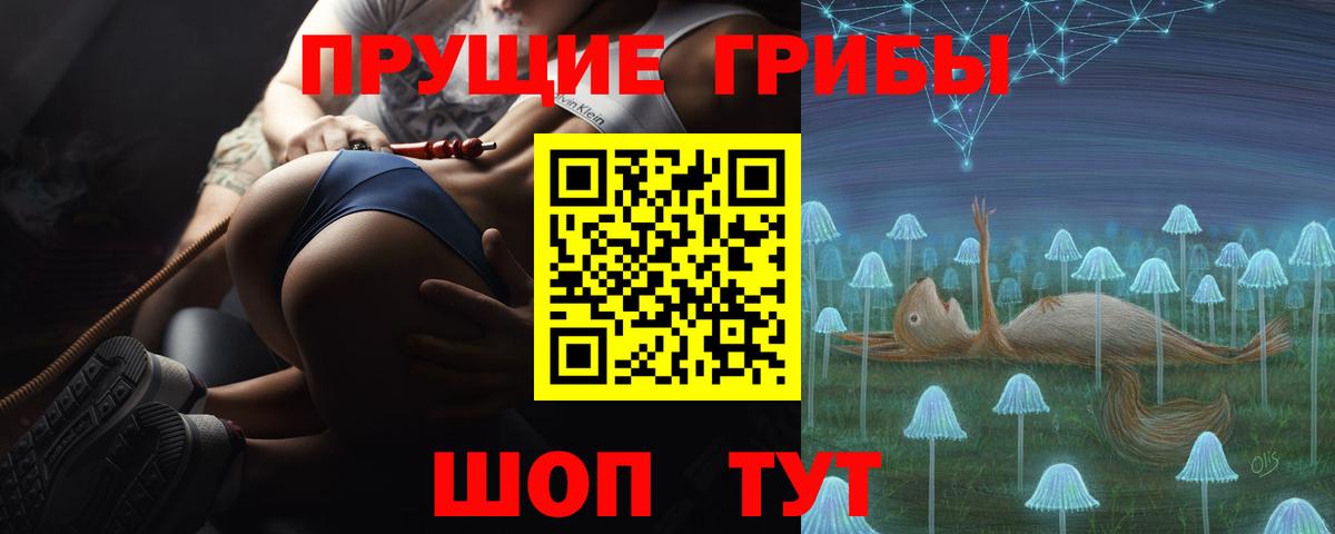 Новозыбков  Галлюциногенные грибы Psilocybine cubensis  Вход с VPN 